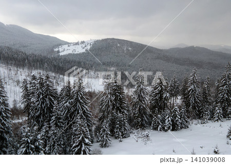 Aerial foggy landscape with evergreen pine trees covered with fresh fallen snow after heavy snowfall in winter mountain forest on cold quiet evening. Aerial foggy landscape with evergreen pine trees covered with fresh fallen snow after heavy snowfall in winter mountain forest on cold quiet evening. 141039008
