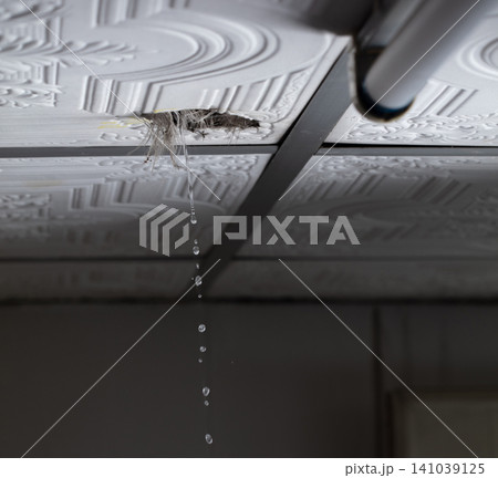 Dangerous ceiling water leak near fluorescent light inside house. Water leaking from damaged ceiling with electrical hazard indoors Dangerous ceiling water leak near fluorescent light inside house. Water leaking from damaged ceiling with electrical hazard indoors 141039125