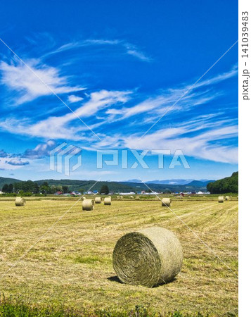 初夏の風景 初夏の風景 141039483