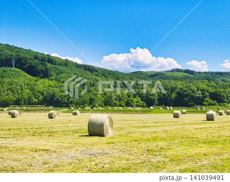 初夏の風景 初夏の風景 141039491