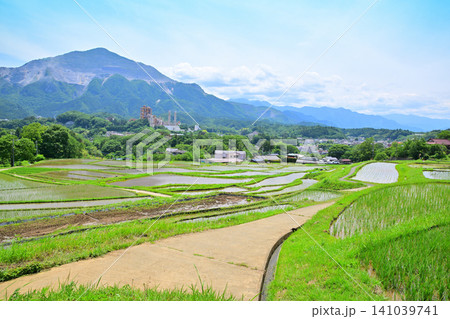 武甲山と寺坂棚田 田植えの季節 新緑の風景 武甲山と寺坂棚田 田植えの季節 新緑の風景 141039741