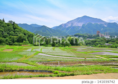 武甲山と寺坂棚田 田植えの季節 新緑の風景 武甲山と寺坂棚田 田植えの季節 新緑の風景 141039742