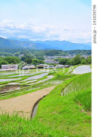 寺坂棚田 田植えの季節 新緑の風景 寺坂棚田 田植えの季節 新緑の風景 141039746