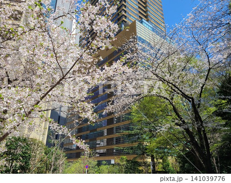 赤坂桜坂 赤坂桜坂 141039776
