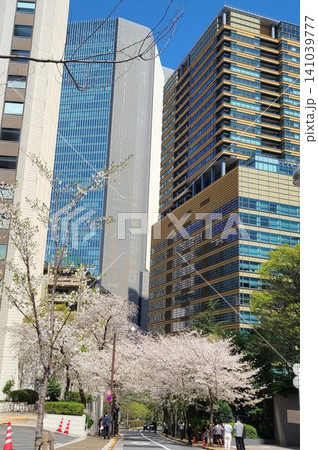 赤坂桜坂 赤坂桜坂 141039777