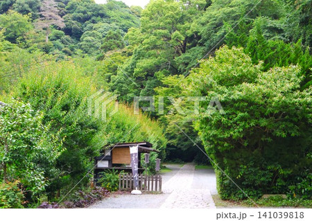緑に囲まれた瑞泉寺の入口 緑に囲まれた瑞泉寺の入口 141039818