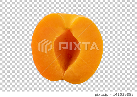 透明背景(png)に半分にカットしたあんず 透明背景(png)に半分にカットしたあんず 141039885