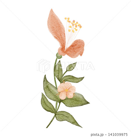 Flower, green stem and leaf watercolor isolated on white. Delicate botanical clip art for wedding stationery, invitations, branding, packaging, prints, floral designs, feminine projects. Peach color 141039975
