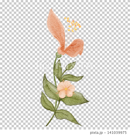 Flower, green stem and leaf watercolor isolated on white. Delicate botanical clip art for wedding stationery, invitations, branding, packaging, prints, floral designs, feminine projects. Peach color 141039975