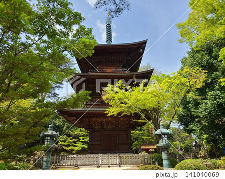 豪徳寺三重塔 豪徳寺三重塔 141040069