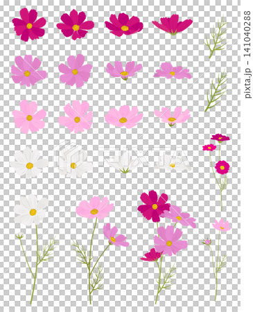 Cosmos illustration material set Cosmos illustration material set 141040288