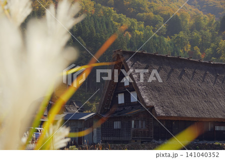 深秋の候 世界文化遺産岐阜県白川合掌造 なつかしき日本の風景 深秋の候 世界文化遺産岐阜県白川合掌造 なつかしき日本の風景 141040352