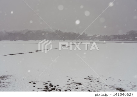 京都市右京区の深々と雪が降る広沢池撮影したもの 京都市右京区の深々と雪が降る広沢池撮影したもの 141040627