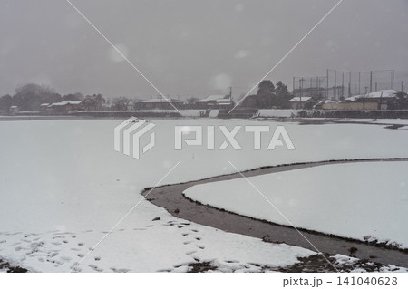 京都市右京区の深々と雪が降る広沢池撮影したもの 京都市右京区の深々と雪が降る広沢池撮影したもの 141040628