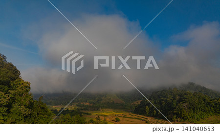 Aerial view fog above the yellow rice field. Aerial view fog above the yellow rice field. 141040653