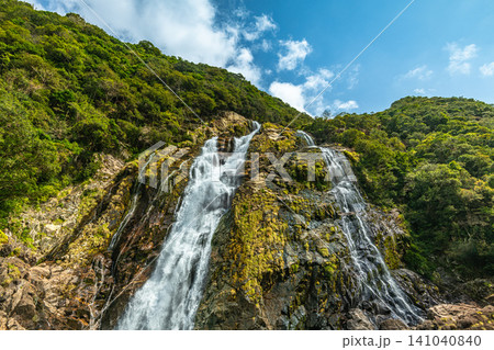 屋久島の春 大川の滝 日本の滝百選 屋久島の春 大川の滝 日本の滝百選 141040840