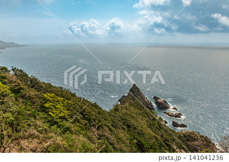 世界自然遺産屋久島の春　西部林道地域 141041236