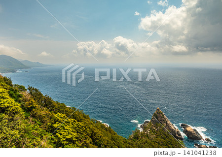 世界自然遺産屋久島の春 西部林道地域 世界自然遺産屋久島の春 西部林道地域 141041238