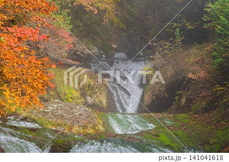 長野県茅野市に流れる横谷渓谷・渋川の最上流に位置する紅葉真っ盛りのおしどり隠しの滝 長野県茅野市に流れる横谷渓谷・渋川の最上流に位置する紅葉真っ盛りのおしどり隠しの滝 141041618