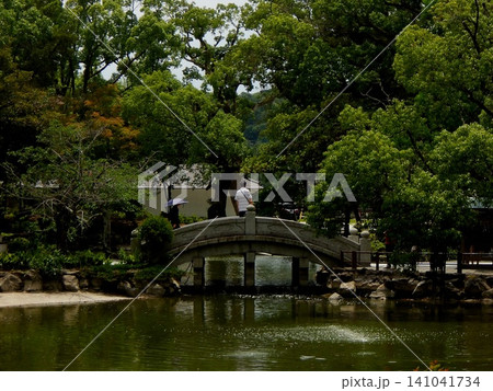 新緑の美しい日本庭園に架かる石造りの太鼓橋と池の風景 新緑の美しい日本庭園に架かる石造りの太鼓橋と池の風景 141041734