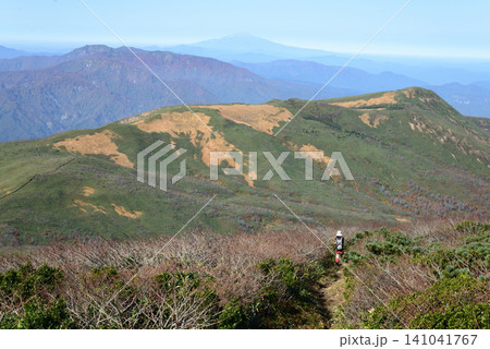 秋の栗駒山から天馬尾根を秣岳に向かう登山者 山々の向こうに鳥海山を遠望 141041767