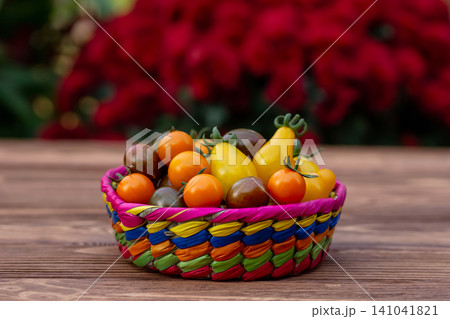 Colorful cherry tomatoes on the wooden table in the garden. 141041821