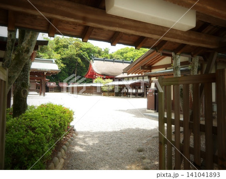新緑の杜に囲まれた宗像大社 本殿と拝殿を望む初夏の厳かな景色 新緑の杜に囲まれた宗像大社 本殿と拝殿を望む初夏の厳かな景色 141041893
