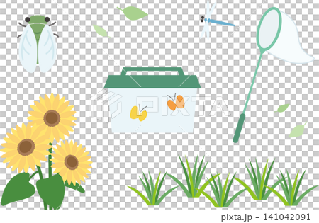 Summer vacation insect collecting items and sunflower illustration set Summer vacation insect collecting items and sunflower illustration set 141042091