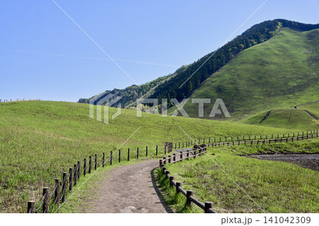 初夏の爽やかな風が吹く曽爾高原の青々とした草原風景 初夏の爽やかな風が吹く曽爾高原の青々とした草原風景 141042309