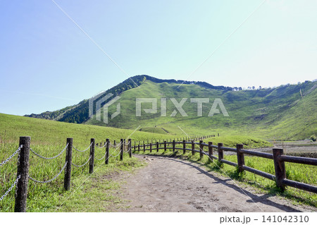 初夏の爽やかな風が吹く曽爾高原の青々とした草原風景 初夏の爽やかな風が吹く曽爾高原の青々とした草原風景 141042310