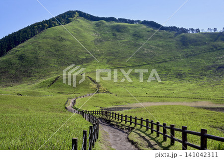 初夏の爽やかな風が吹く曽爾高原の青々とした草原風景 初夏の爽やかな風が吹く曽爾高原の青々とした草原風景 141042311