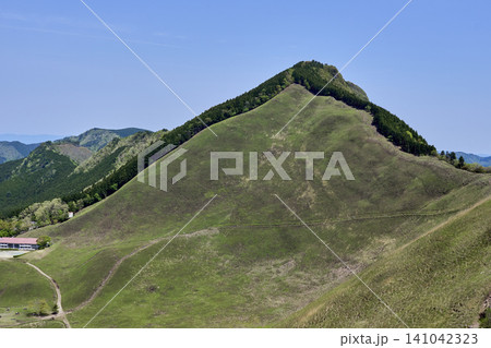 初夏の爽やかな風が吹く曽爾高原の青々とした草原風景 初夏の爽やかな風が吹く曽爾高原の青々とした草原風景 141042323