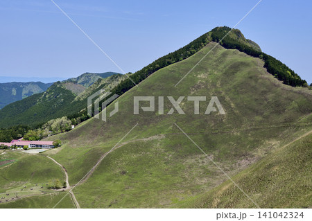 初夏の爽やかな風が吹く曽爾高原の青々とした草原風景 141042324