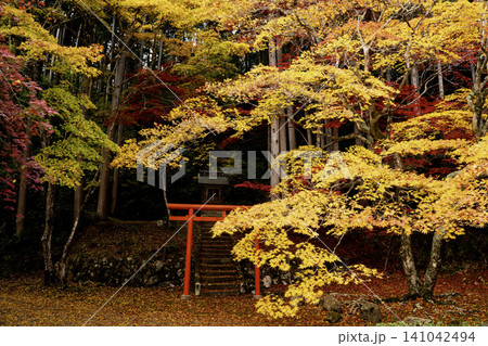 兵庫県丹波篠山市の赤と黄色の絶景宝鏡山洞光寺紅葉を撮影 兵庫県丹波篠山市の赤と黄色の絶景宝鏡山洞光寺紅葉を撮影 141042494