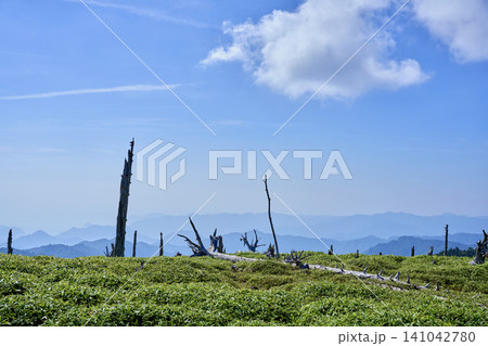 夏の終わりに迎える爽やかな避暑登山 大台ヶ原のトレッキングコースと立ち枯れの景観 夏の終わりに迎える爽やかな避暑登山 大台ヶ原のトレッキングコースと立ち枯れの景観 141042780