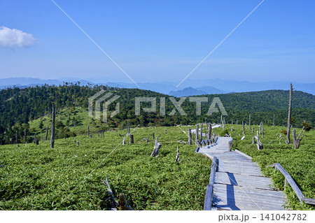 夏の終わりに迎える爽やかな避暑登山 大台ヶ原のトレッキングコースと立ち枯れの景観 夏の終わりに迎える爽やかな避暑登山 大台ヶ原のトレッキングコースと立ち枯れの景観 141042782