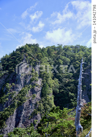 夏の終わりに迎える爽やかな避暑登山 大台ヶ原のトレッキングコースと立ち枯れの景観 夏の終わりに迎える爽やかな避暑登山 大台ヶ原のトレッキングコースと立ち枯れの景観 141042798