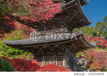 滋賀県湖南市の湖南三山長寿寺の境内を染め上げる紅葉を撮影 滋賀県湖南市の湖南三山長寿寺の境内を染め上げる紅葉を撮影 141043044