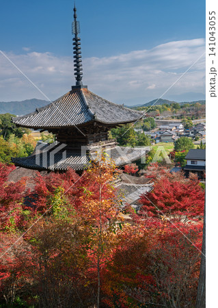 滋賀県湖南市の湖南三山長寿寺の境内を染め上げる紅葉を撮影 滋賀県湖南市の湖南三山長寿寺の境内を染め上げる紅葉を撮影 141043055