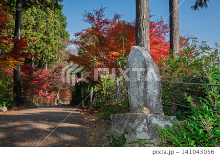 滋賀県湖南市の湖南三山長寿寺の境内を染め上げる紅葉を撮影 滋賀県湖南市の湖南三山長寿寺の境内を染め上げる紅葉を撮影 141043056