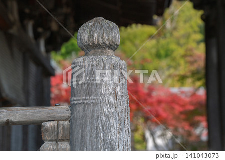 滋賀県湖南市の湖南三山長寿寺の境内を染め上げる紅葉を撮影 滋賀県湖南市の湖南三山長寿寺の境内を染め上げる紅葉を撮影 141043073