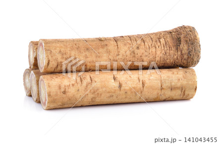 Fresh Burdock Root for Traditional Chinese Medicine Fresh Burdock Root for Traditional Chinese Medicine 141043455
