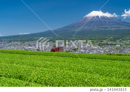 富士山と茶畑の風景 141043815