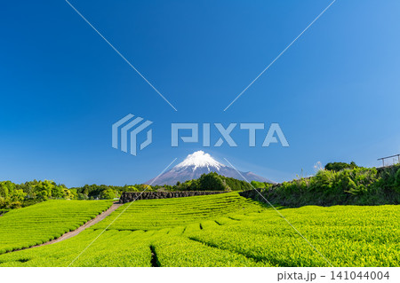 富士山と茶畑の風景 141044004