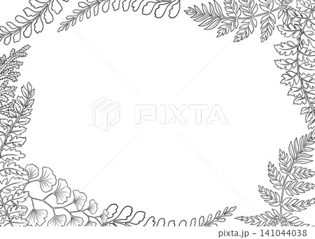 Horizontal card frame template with fern leaves botanical illustration in line art style. Hand drawn black and white floral border. Perfect for the use of ecological material and sustainable designs. Horizontal card frame template with fern leaves botanical illustration in line art style. Hand drawn black and white floral border. Perfect for the use of ecological material and sustainable designs. 141044038