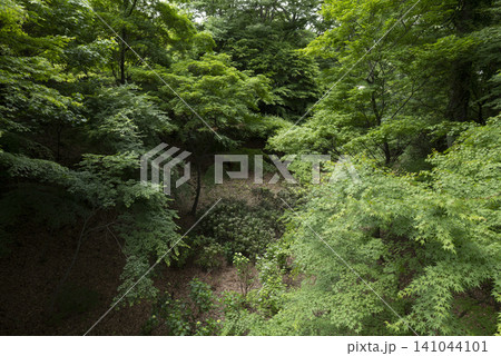 小諸城の崖(地獄谷) 長野県・小諸市 小諸城の崖(地獄谷) 長野県・小諸市 141044101