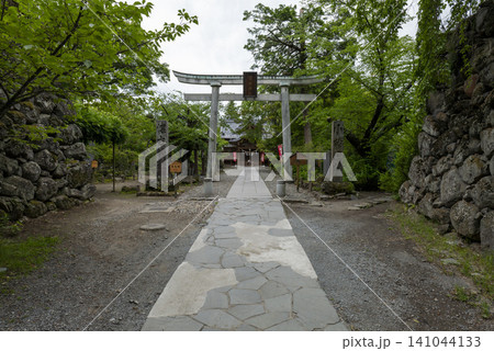 初夏の小諸城内にある懐古神社 参道と鳥居 初夏の小諸城内にある懐古神社 参道と鳥居 141044133