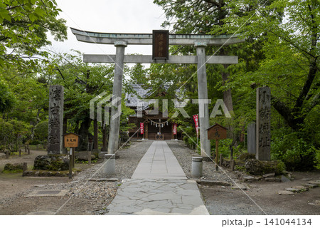 初夏の小諸城内にある懐古神社 参道と鳥居 初夏の小諸城内にある懐古神社 参道と鳥居 141044134