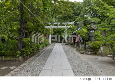 初夏の小諸城内にある懐古神社 参道と鳥居 初夏の小諸城内にある懐古神社 参道と鳥居 141044136