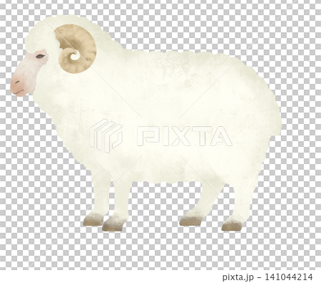 Year of the Sheep - Cute sheep illustration Year of the Sheep - Cute sheep illustration 141044214